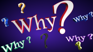 Read more about the article Looking for answers and inspiration: visit the Why Café!