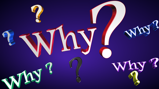 Why? The Why Cafe