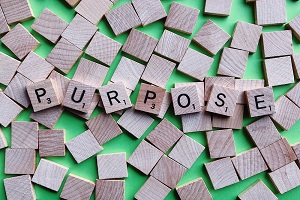 Read more about the article Purpose at work